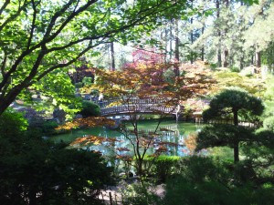 The view from the Japanese Gardens. So pretty!